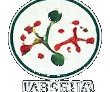 Labsena